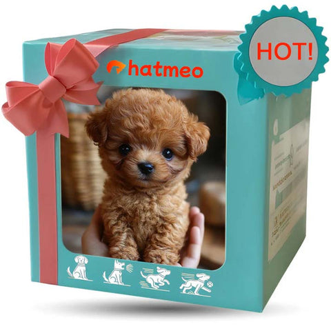 Hatmeo BrightPaws Puppy Children's Companion Plush Toys