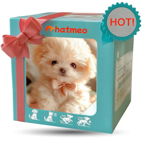 Hatmeo BrightPaws Puppy Children's Companion Plush Toys