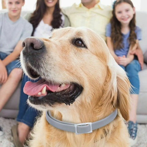 Hatmeo Pet Collar