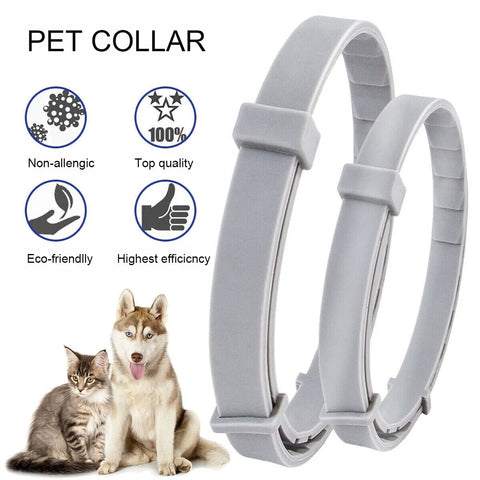 Hatmeo Pet Collar