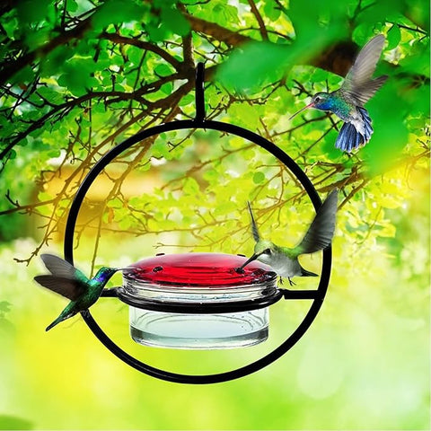 Hatmeo Hummingbird Feeder