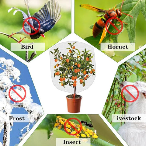 Hatmeo 3PCS Insect Bird Barrier Mesh 31.5x 39.37 inch