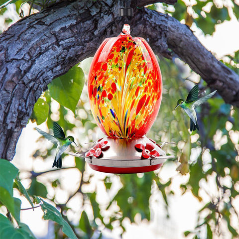 Hatmeo Blown Glass Hummingbird Feeder