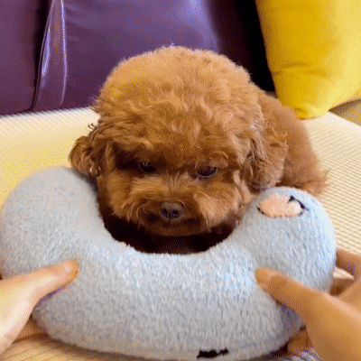 Hatmeo Pet Pillows