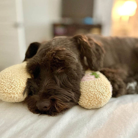 Hatmeo Pet Pillows