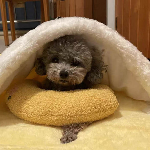 Hatmeo Pet Pillows