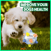 Hatmeo™ Pet BallEndless Entertainment for Your Furry Friend!